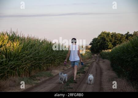 Giovane donna che cammina nella natura con due piccoli cani bianchi al guinzaglio. Amicizia e amicizia tra gli esseri umani e gli animali domestici Foto Stock