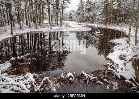 Il ramo orientale del fiume Swift subito dopo una tempesta di neve - Petersham, Massachusetts Foto Stock