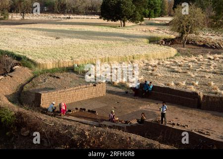 India, Madhya Pradesh - 23 marzo 2018: Produzione di mattoni in campagna. I mattoni di adobe sono fatti di argilla sul bordo di un campo di grano. Foto Stock