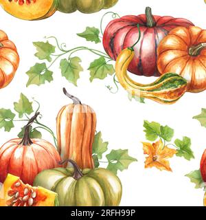 Zucche. Motivo senza cuciture su sfondo bianco. Acquerello dipinto a mano con vivaci zucche autunnali. Modello per il design tessile in autunno S. Foto Stock