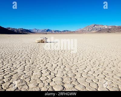 Una roccia in movimento all'ippodromo, una playa o un letto di lago prosciugato, nel Death Valley National Park, California, Stati Uniti. Foto Stock