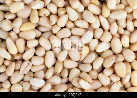 noci utili, una parte del guscio rimane sui cedri, pinoli sbucciati Foto Stock