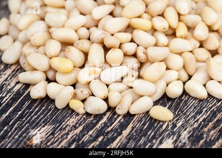 noci utili, una parte del guscio rimane sui cedri, pinoli sbucciati di piccole dimensioni Foto Stock