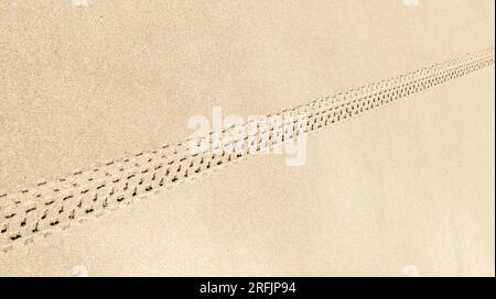 piste ciclabili con stampa di pneumatici in una spiaggia sabbiosa nel deserto di sabbia con bassa marea Foto Stock