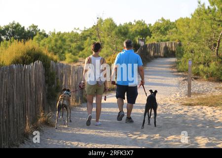 Couple en Promenade avec leurs chiens à la pointe du Cap Ferret sur le Bassin d’Arcachon, Gironde, Nouvelle Aquitaine, Francia, Europa Foto Stock