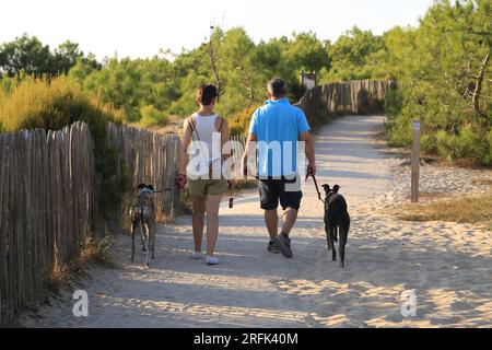 Couple en Promenade avec leurs chiens à la pointe du Cap Ferret sur le Bassin d’Arcachon, Gironde, Nouvelle Aquitaine, Francia, Europa Foto Stock