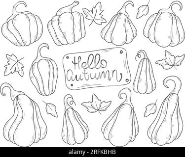 Set di zucche mature disegnate a mano. Collezione di schizzi di doodle vegetali di stagione autunnale. Zucca di forma e dimensioni diverse e foglie isolate Illustrazione Vettoriale