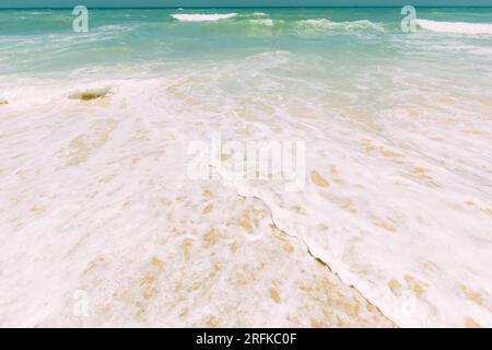 Ocean acqua schiuma spruzzi lavaggio spiaggia sabbiosa. Paesaggio incredibile. Crashing onde di costa sabbiosa. Mare oceano superficie con piccole onde Foto Stock