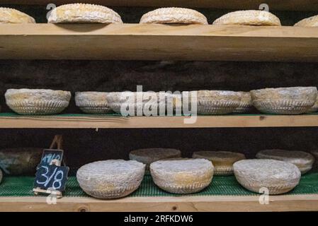 The Gourmet Artisanal Cheese Journey Foto Stock