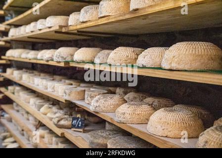 The Gourmet Artisanal Cheese Journey Foto Stock