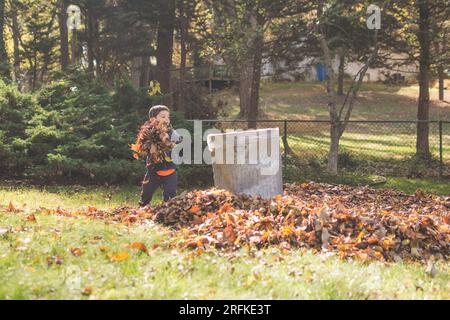 Giovane ragazzo che lavora per rastrellare un mucchio di foglie d'oro in un giardino erboso. Foto Stock