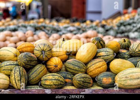 Varie zucche in autunno a Spreewald in Germania Foto Stock