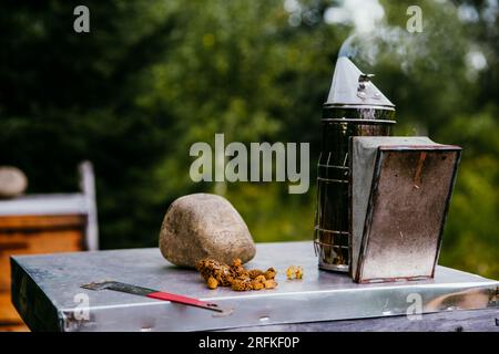 accessori di un apicoltore e molte celle reali Foto Stock