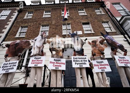 Attivisti del PETA che indossano "zoccoli" e maschere giganti per cavalli e cammelli, manifestano fuori dall'ambasciata egiziana a Londra, per esortare il governo egiziano a vietare l'uso di cavalli e cammelli per trasportare i turisti nelle piramidi in Egitto. Data immagine: Venerdì 4 agosto 2023. Foto Stock