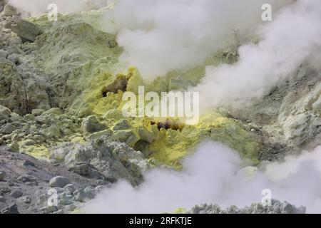 Pezzi di zolfo sull'area del vulcano attivo di Iozan (montagna solforosa), Parco Nazionale di Akan, Hokkaido, Giappone Foto Stock