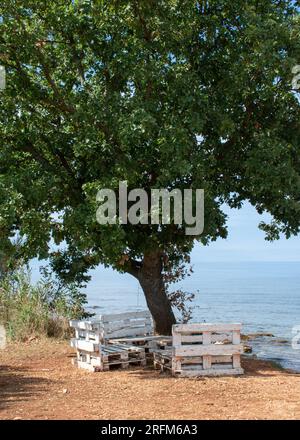 Grandi sedie di legno bianco sotto una grande quercia vicino al mare a Park Umag, Umag, Croazia. Foto Stock