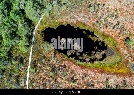 Vista aerea dello spettacolare sentiero escursionistico di Hüpassaare attraverso la foresta fino alla palude di Kuresoo in una splendida giornata estiva nel Parco Nazionale di Soomaa, Estonia Foto Stock