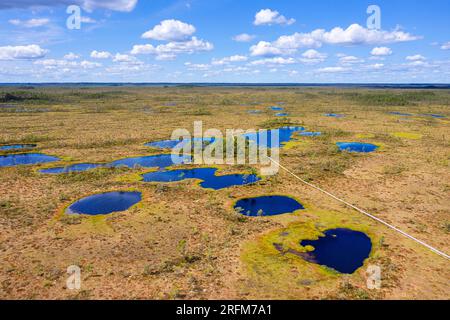 Spettacolare vista aerea di un sentiero escursionistico Hupassaare fino alla palude di Kuresoo piena di laghi in una splendida giornata estiva nel Parco nazionale di Soomaa in Estonia Foto Stock