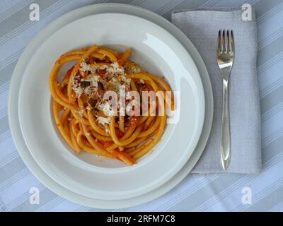 Bucatini tutta Amatriciana Pasta italiana dal Lazio e Roma con Guanciale e Tomatos Foto Stock