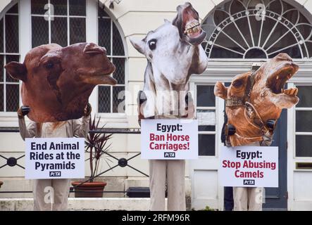 Londra, Regno Unito. 4 agosto 2023. Gli attivisti che indossano maschere di cavallo e cammello tengono cartelli contrari alle giostre sugli animali durante la dimostrazione. Gli attivisti del PETA (People for the Ethical Treatment of Animals) organizzarono una protesta fuori dall'ambasciata egiziana a Londra chiedendo al governo egiziano di porre fine all'uso di cavalli e cammelli per trasportare i turisti alle piramidi. Il PETA afferma che le loro indagini hanno trovato abusi sistemici e crudeltà nei confronti di cavalli e cammelli utilizzati per le giostre. (Foto di Vuk Valcic/SOPA Images/Sipa USA) credito: SIPA USA/Alamy Live News Foto Stock