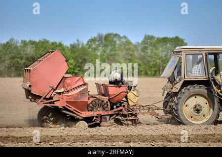 Piantare patate con piantatrice agganciata al trattore agricolo gommato. Foto Stock