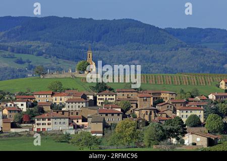 Francia, Rhône (69), Saint-Laurent-d'Oingt, Val d'Oingt, Village du vignoble Beaujolais, Village les Pierres Dorées / Francia, Rhône Saint-Laurent-d'Oingt, Val d'Oingt, Village of the Beaujolais Vineyard, Village les Pierres Dorées Foto Stock