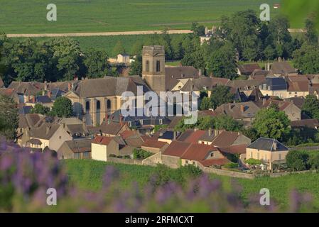 Francia, Côte-d'Or, Pommard, il villaggio visto dal famoso vigneto Foto Stock