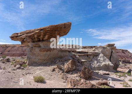 Una formazione hoodoo di arenaria presso il sito della cava dei dinosauri di Burpee nel deserto di Caineville vicino a Hanksville, Utah. Foto Stock
