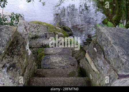 L'albero Lonely nel lago Padarn, Llanberis, Gwynedd, Galles del Nord, Gran Bretagna Foto Stock
