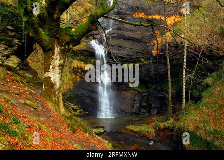 Cascata Uguna autunnale. Gorbeia o Parco naturale Gorbea. Paesi baschi. Spagna Foto Stock