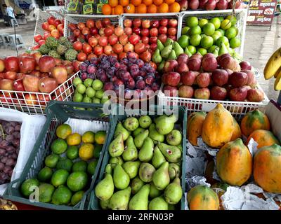 21-09-2021 Indore, M.P. India. Fondo frutta nelle scatole esposto al mercato Foto Stock