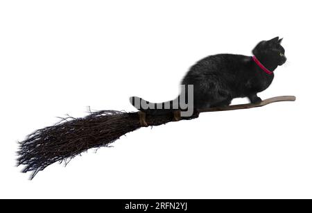 Gatto nero che vola su una scopa Foto Stock