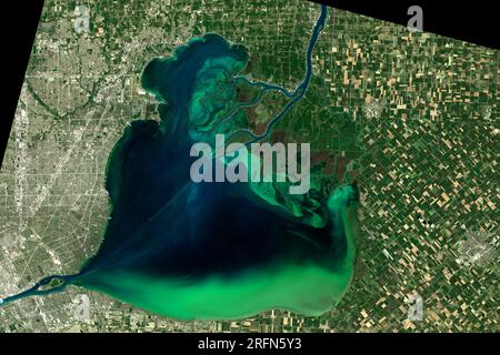 Immagine satellitare di una fioritura di alghe tossiche (vortici di verde) in Lake St Clair, causato dal deflusso di fertilizzante agricolo fosforo. Catturato il 28 luglio 2015 dall'Operational Land Imager (oli) su Landsat 8. Foto Stock