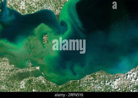 Immagine satellitare di una fioritura di alghe tossiche (vortici di verde) nel lago Erie occidentale, causata dal deflusso di fertilizzanti agricoli fosforici. Catturato il 28 luglio 2015 dall'Operational Land Imager (oli) su Landsat 8. Foto Stock