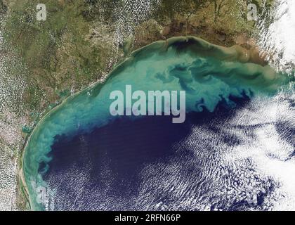 Nubi di sedimenti nel Golfo del Messico il 10 novembre 2009, poco dopo la tempesta tropicale Ida sbarcò ad est di questa zona. Un'altra fonte di sedimenti è il concime che fuoriesce dai fiumi, creando fioriture di fitoplancton tossico che colorano l'acqua verde vicino alla riva. Foto Stock