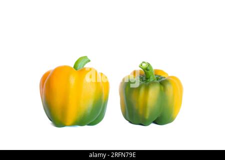 Capsicum annuum su sfondo bianco. Due peperoni gialli su sfondo bianco. Foto Stock