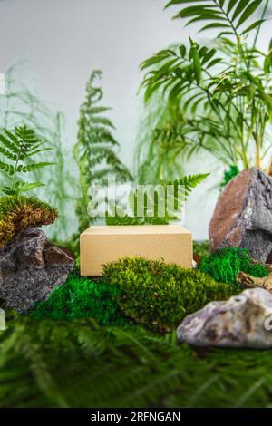 Podio beige geometrico nella foresta con felce e muschio. Vetrina vuota per la presentazione del prodotto. Sfondo naturale. Foto Stock