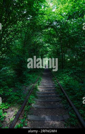 Meraviglia della natura - vero tunnel d'amore, alberi verdi e la ferrovia, Ucraina. Foto Stock