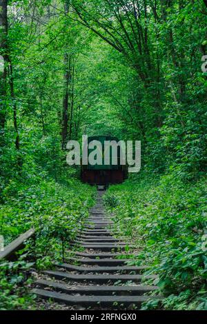 Meraviglia della natura - vero tunnel d'amore, alberi verdi e la ferrovia, Ucraina. Foto Stock