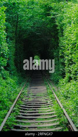 Meraviglia della natura - vero tunnel d'amore, alberi verdi e la ferrovia, Ucraina. Foto Stock