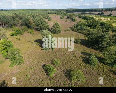 Veduta aerea della riserva naturale di Cawston Heath, Norfolk, Regno Unito, 3 agosto 2023 Foto Stock