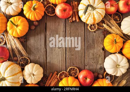 Telaio autunnale di zucche, mele e spezie. Vista dall'alto su uno sfondo rustico di legno scuro con spazio per la copia. Foto Stock