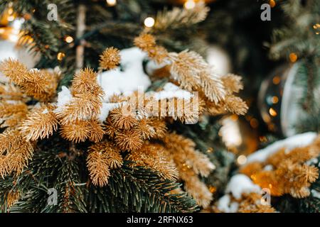 Rami di abete dorato ricoperti di neve bianca nella stagione invernale. Atmosfera e dettagli per Capodanno e Natale. Foto Stock