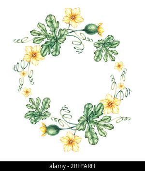 Corona di anguria disegnata a mano. Anguria, foglie, tendini vegetali, frutta su sfondo bianco. Illustrazione botanica per schede di disegno, invit Foto Stock