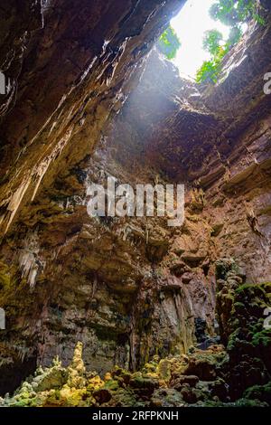 Grotte Di Castellana, Puglia, Italia. Sorgono a meno di due chilometri dalla città nel sud-est di Murge a 330 m.s.l.m. forma di altopiano calcareo Foto Stock