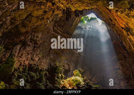 Grotte Di Castellana, Puglia, Italia. Sorgono a meno di due chilometri dalla città nel sud-est di Murge a 330 m.s.l.m. forma di altopiano calcareo Foto Stock