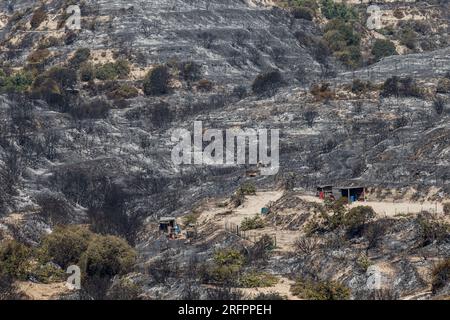 Alassa, Limassol, Cipro. 5 agosto 2023. Sono visibili capannoni all'interno dell'area bruciata. I vigili del fuoco e le unità del Dipartimento forestale pattugliano l'area intorno ad Alassa per prevenire eventuali risurrezioni, dove ieri è scoppiato un incendio e ha bruciato circa 3 chilometri quadrati di bassa vegetazione. Le previsioni del tempo parlano di forti venti, quindi il pericolo di rinascita è alto. (Immagine di credito: © Kostas Pikoulas/ZUMA Press Wire) SOLO USO EDITORIALE! Non per USO commerciale! Foto Stock