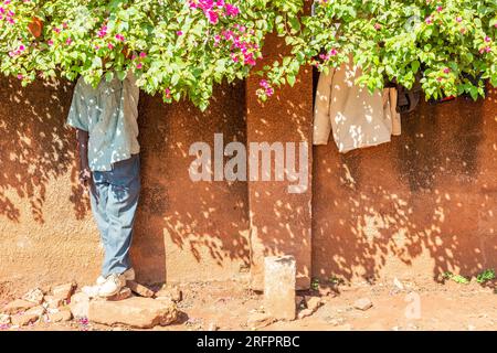 Ai piedi di un muro ocra, un uomo si trova al riparo dal sole sotto una bouganvillea fiorita. Jinja, Uganda. Foto Stock