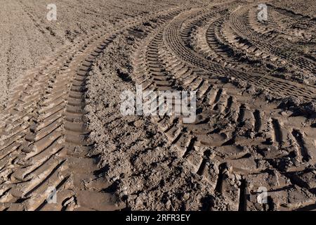 Tracce di un trattore o di altre grandi macchine sul terreno nel campo, un gran numero di tracce di veicoli pesanti sulla strada Foto Stock