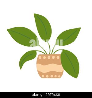 impianto domestico in vaso Illustrazione Vettoriale